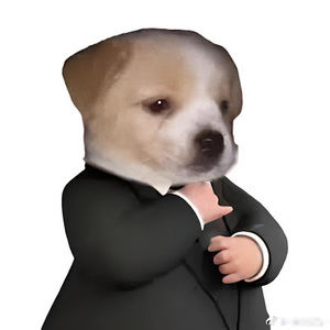 Meet your Posher, Gustavo angel